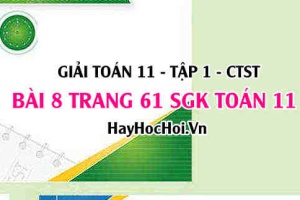 Giải bài 8 trang 61 Toán 11 tập 1 SGK Chân trời sáng tạo